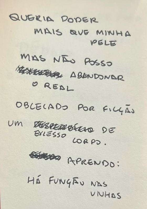 Imagem 6